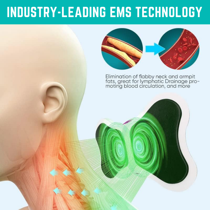 AcheFly - Full Body EMS Massager